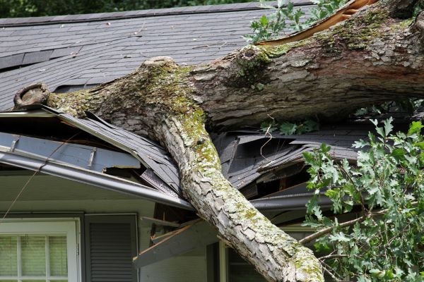 Storm Remediation in Pensacola