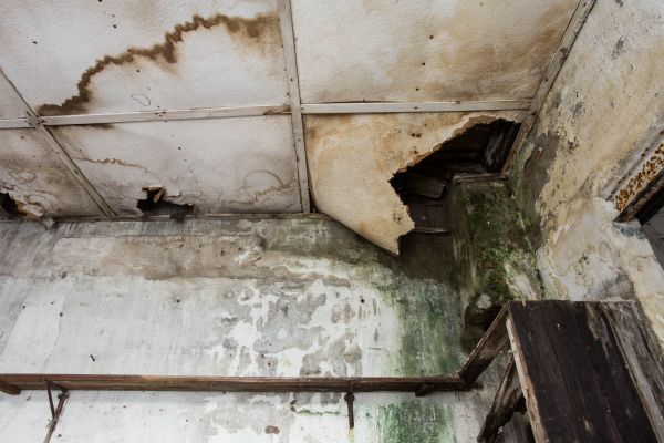 Water Damage Service in Pensacola
