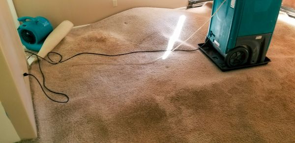 Flood Damage Cleanup in Pensacola