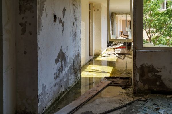 Water Removal Service in Pensacola