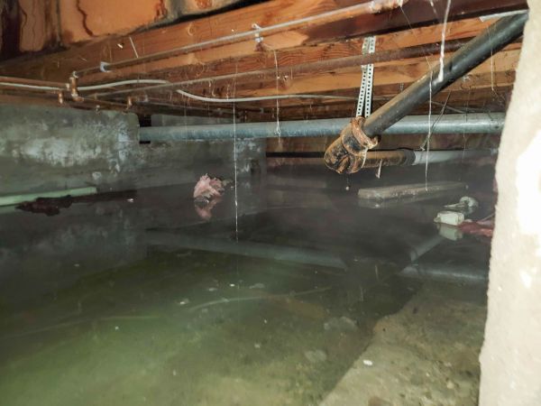 Crawl Space Drying in Pensacola
